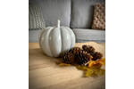 Grey Ceramic Pumpkin