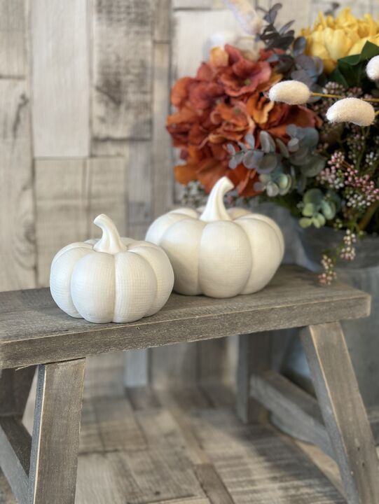 White Textured Pumpkin