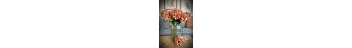 Peach Blush French Hydrangea Stem