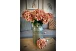 Peach Blush French Hydrangea Stem