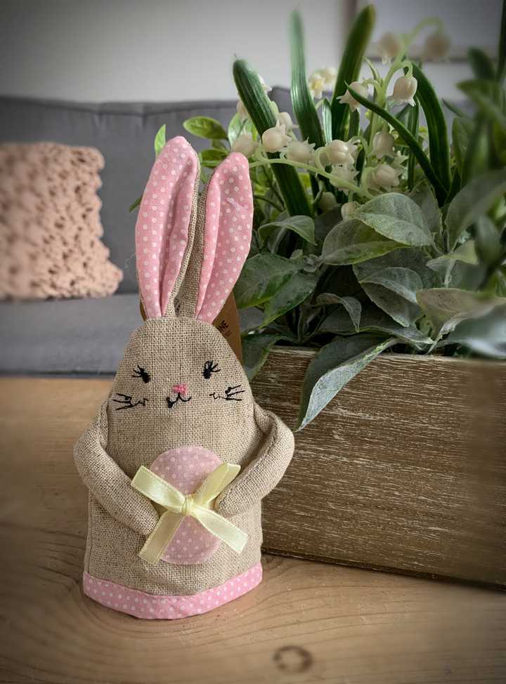 Pink Trim Rabbit Egg Cosy