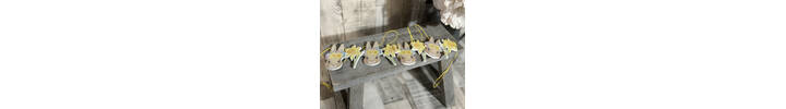 Gisela Graham Spring Bunny And Daffodil Wooden Garland