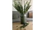 Dusted Natural Green Eucalyptus Stem