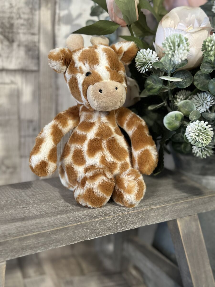 Small Bashful Giraffe