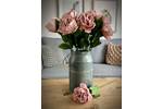Soft Pink Open Ball Peony