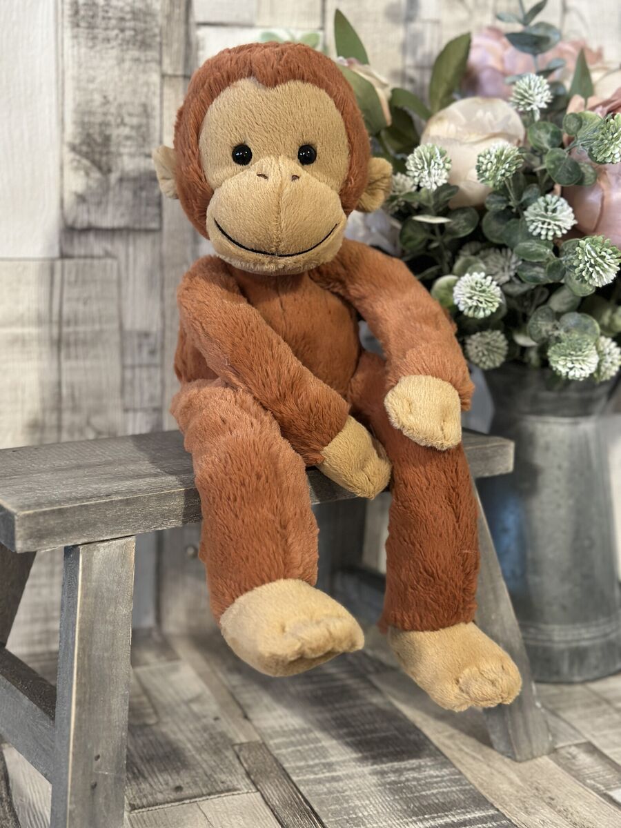 Pongo Orangutan