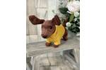 Yellow Sweater Sausage Dog