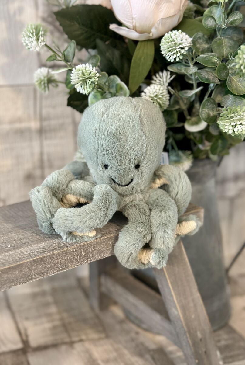 Tiny Odyssey Octopus