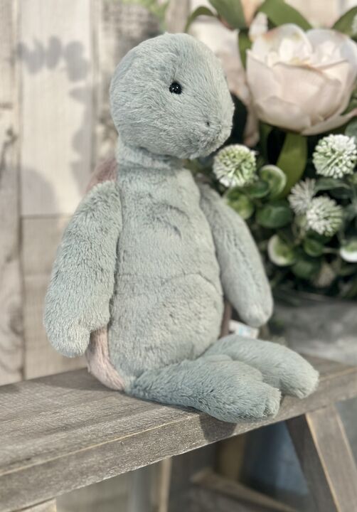 Medium Bashful Turtle