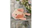 Fancy Carp