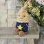 Amuseables Peanut Star Student Outfit