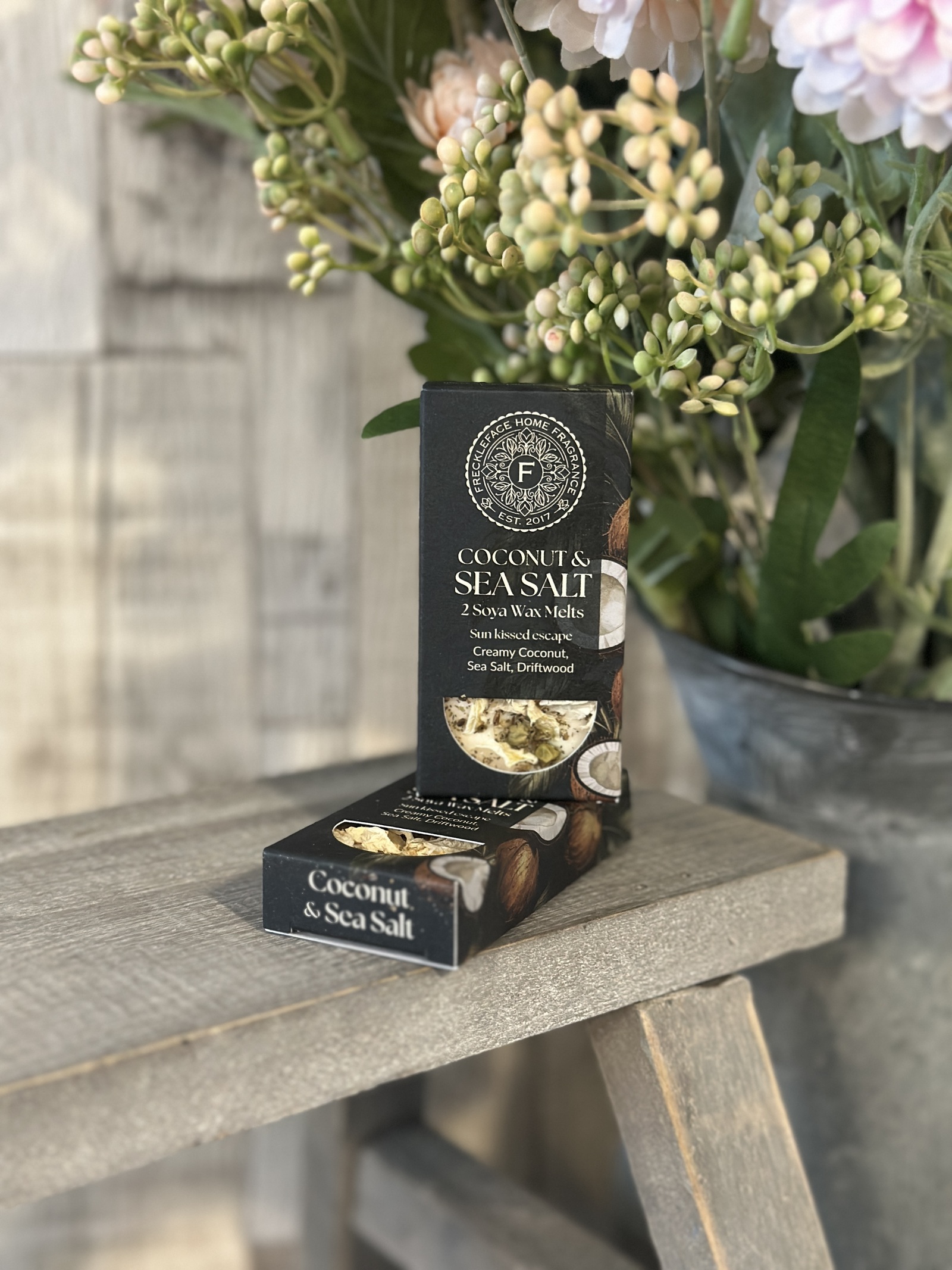 Coconut &amp; Sea Salt Wax Melt Duo