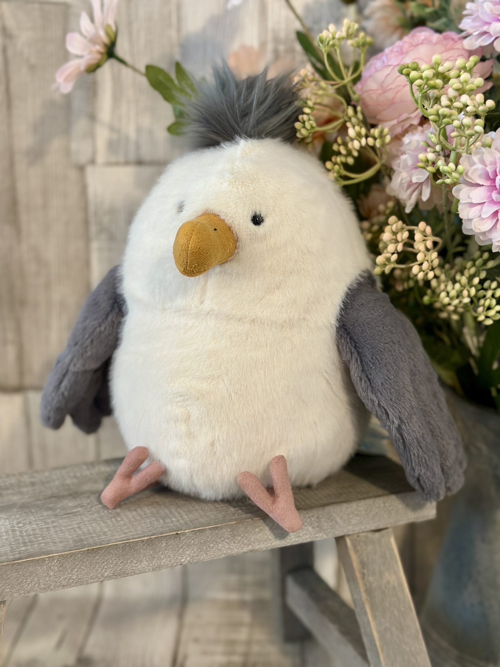 Chip Seagull