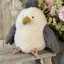 Chip Seagull