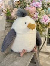 IMG_5006.JPG