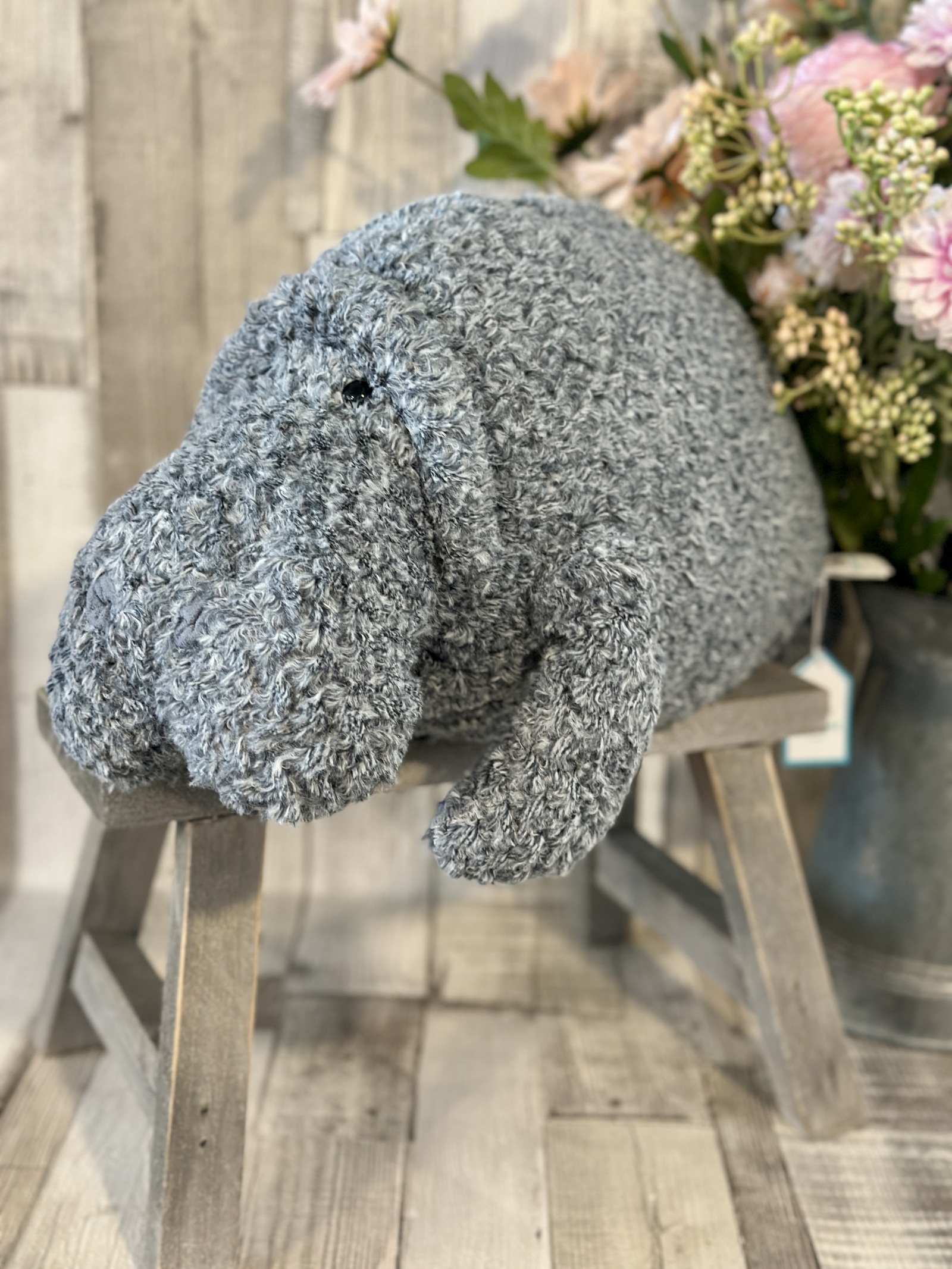 Maffles Manatee