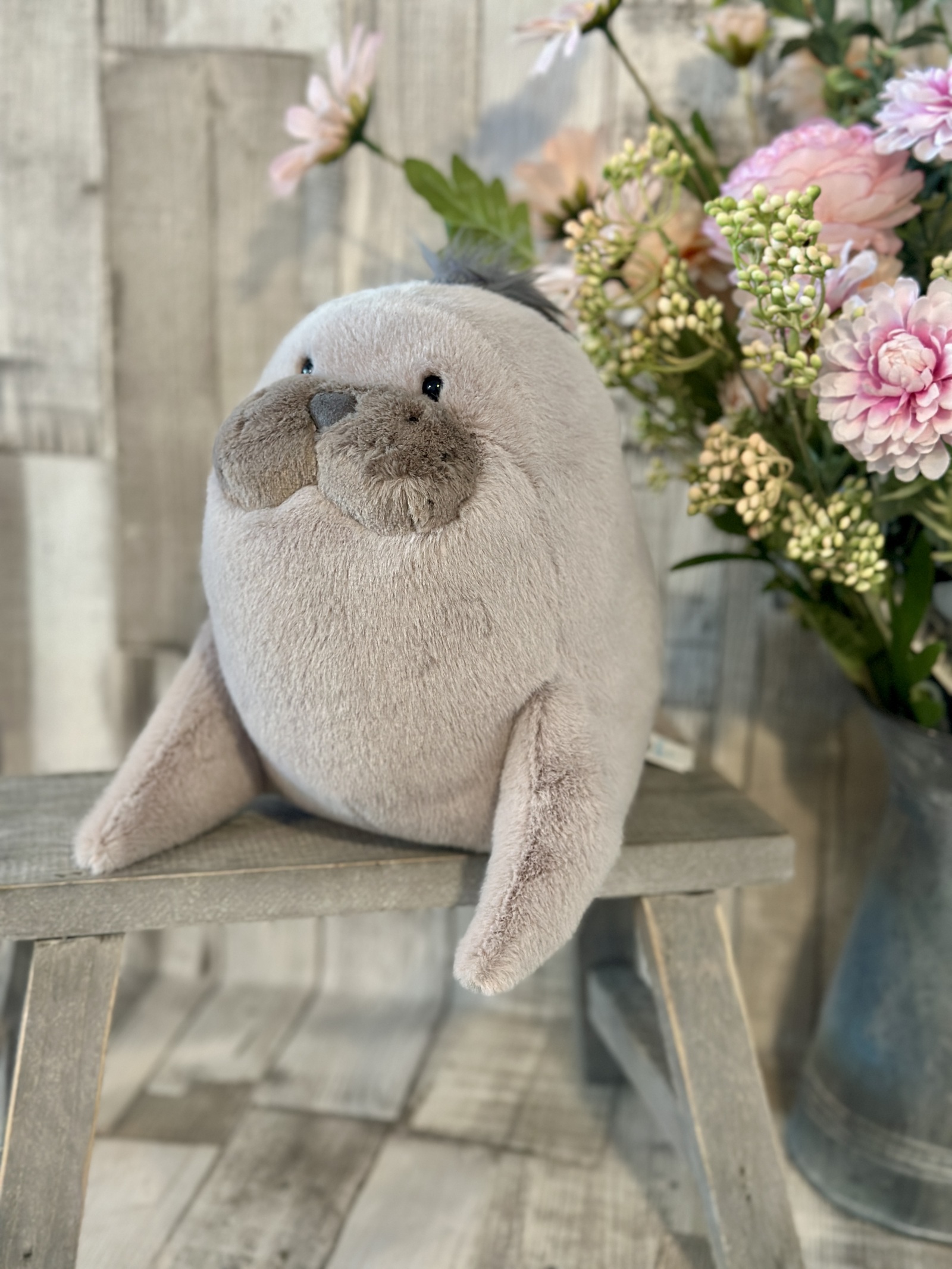 Roarwell Sea Lion