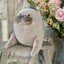 Roarwell Sea Lion
