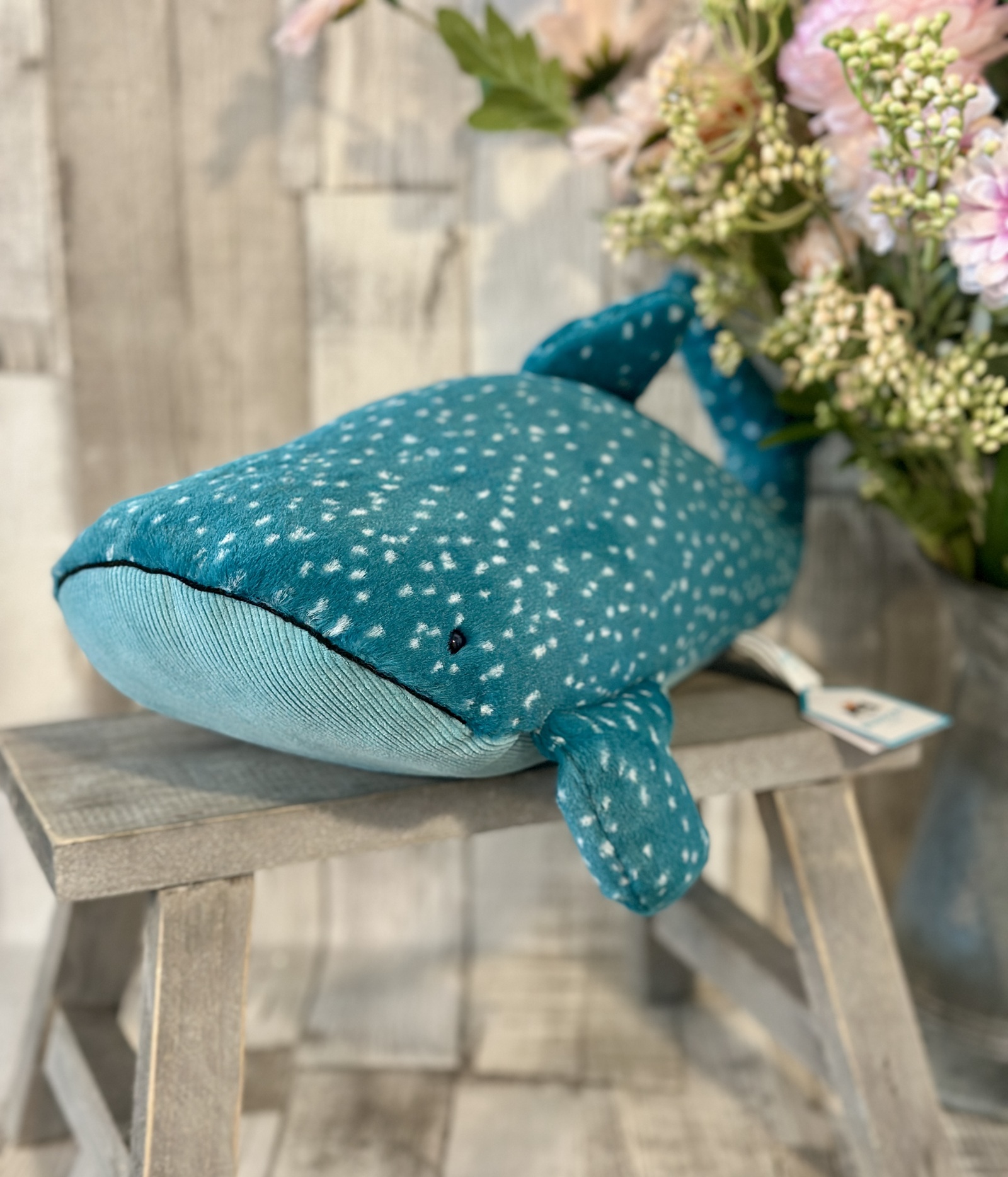 Gobfrey Whale Shark