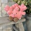 Amuseables Coral