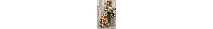Dara Giraffe
