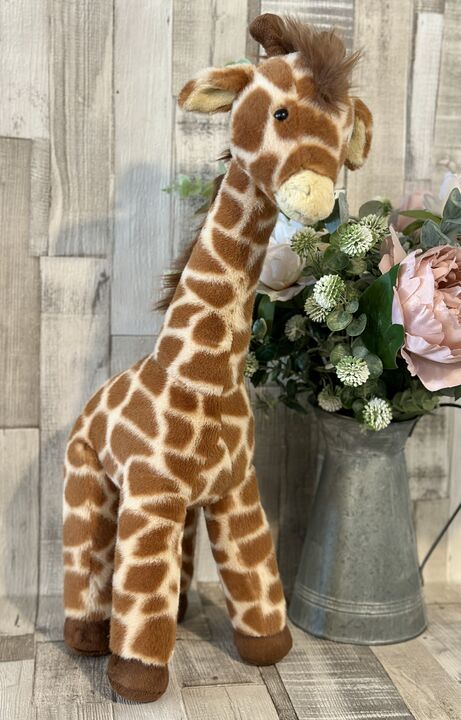 Dara Giraffe