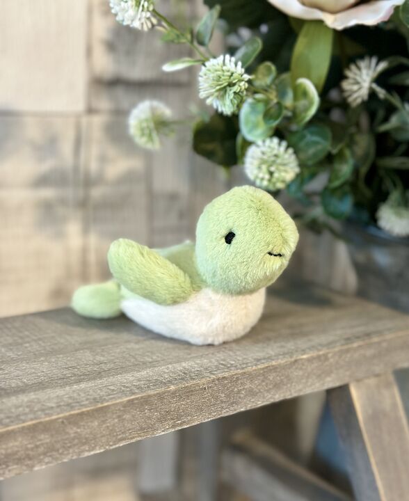 Fluffy Turtle