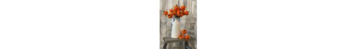 Orange Velvet Pumpkin Stem
