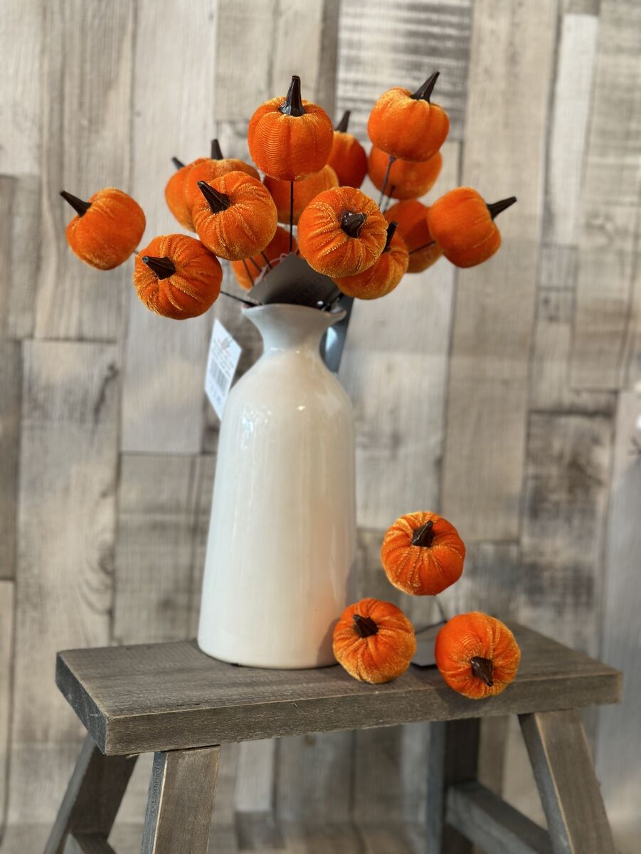 Orange Velvet Pumpkin Stem