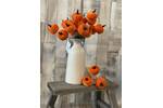 Orange Velvet Pumpkin Stem