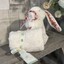 Blossom Cream Bunny 'Berry' Soother