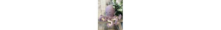 Little Maya Octopus 