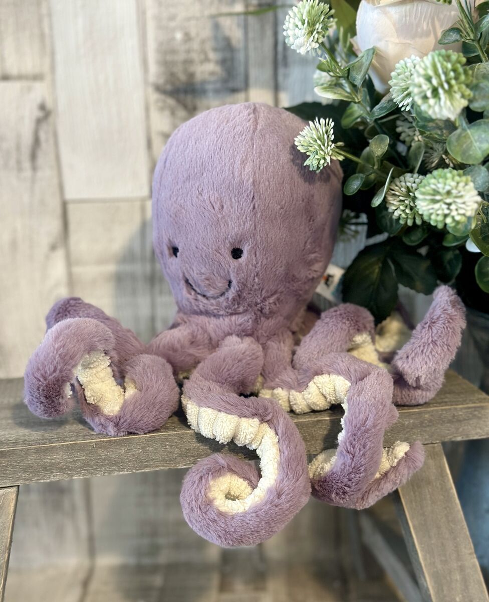 Little Maya Octopus