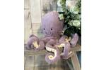 Little Maya Octopus