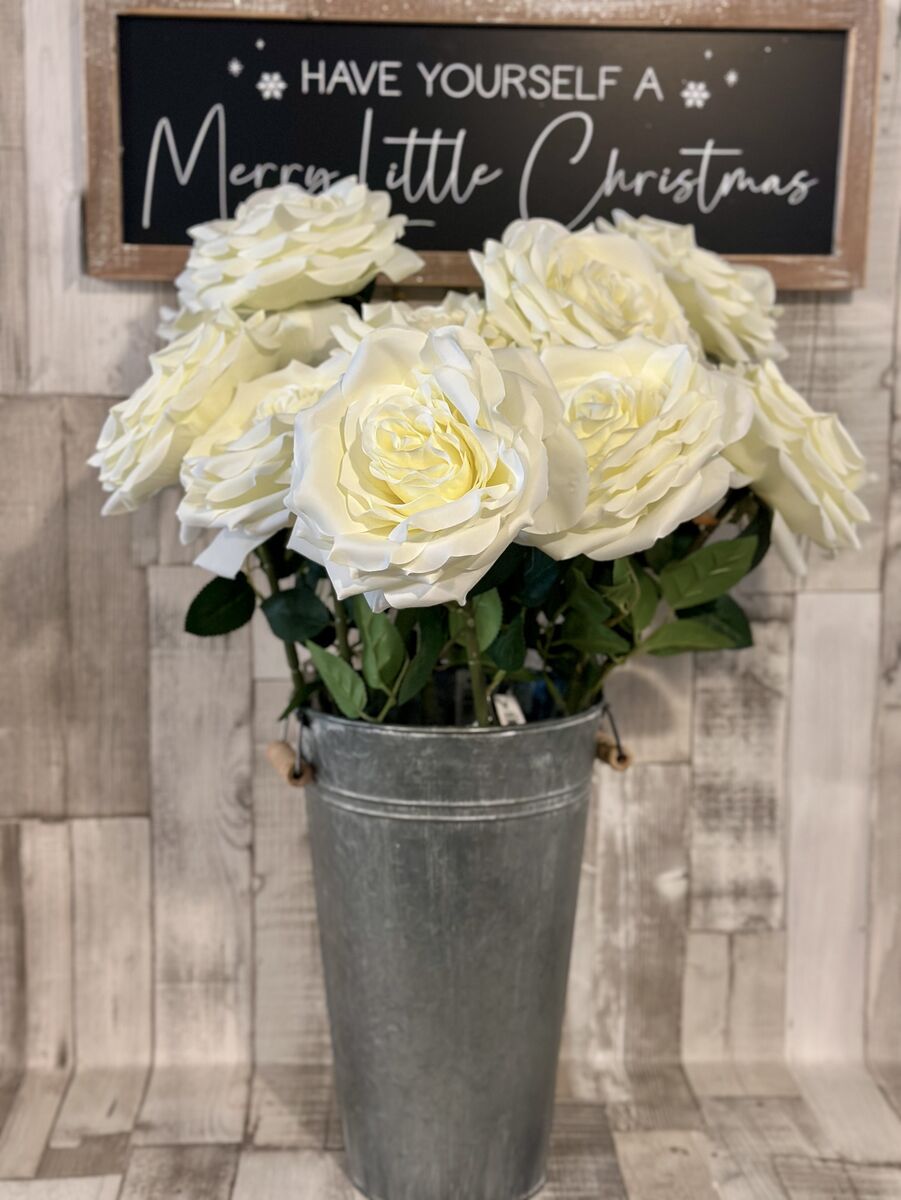 Cream Marie Rose Stem