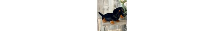 Large Freddie Sausage Dog