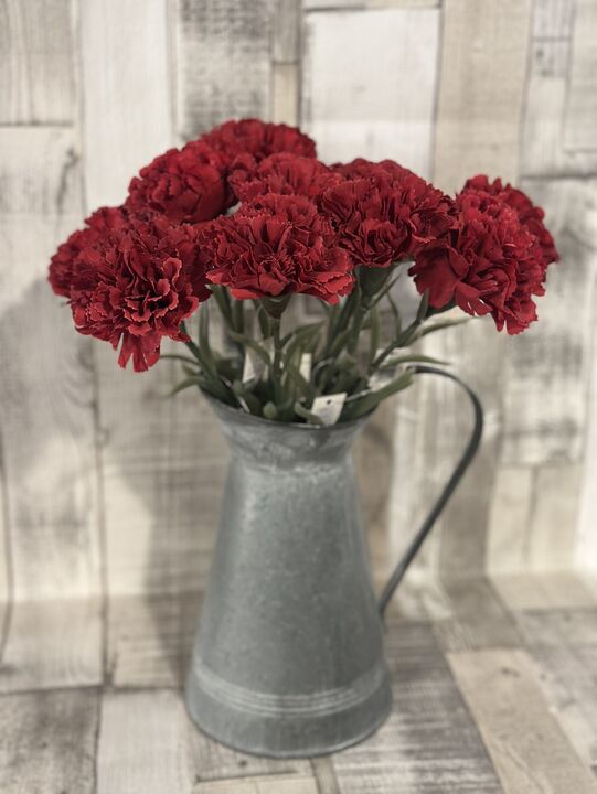 Red Single Carnation Stem