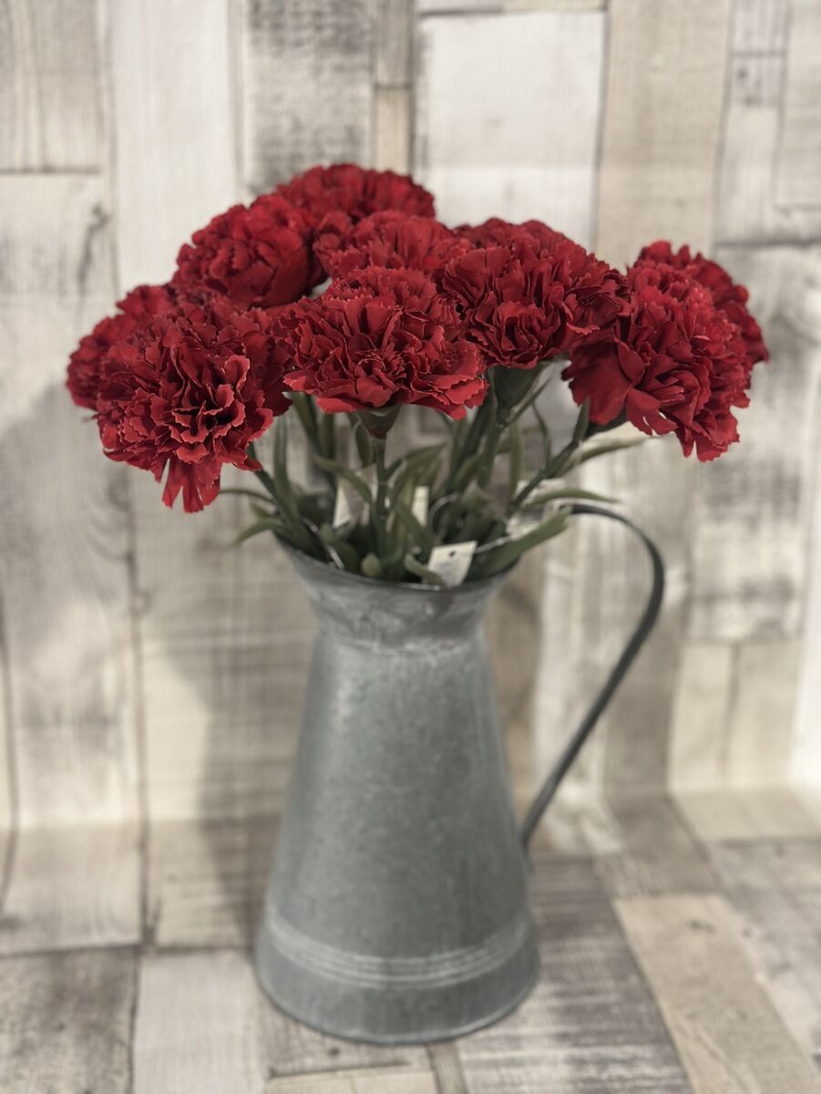 Red Single Carnation Stem