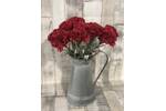 Red Single Carnation Stem