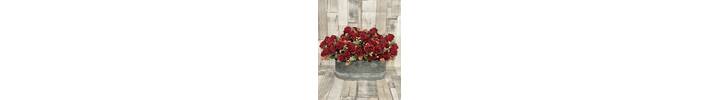 Deep Red Amelia Rose Bunch
