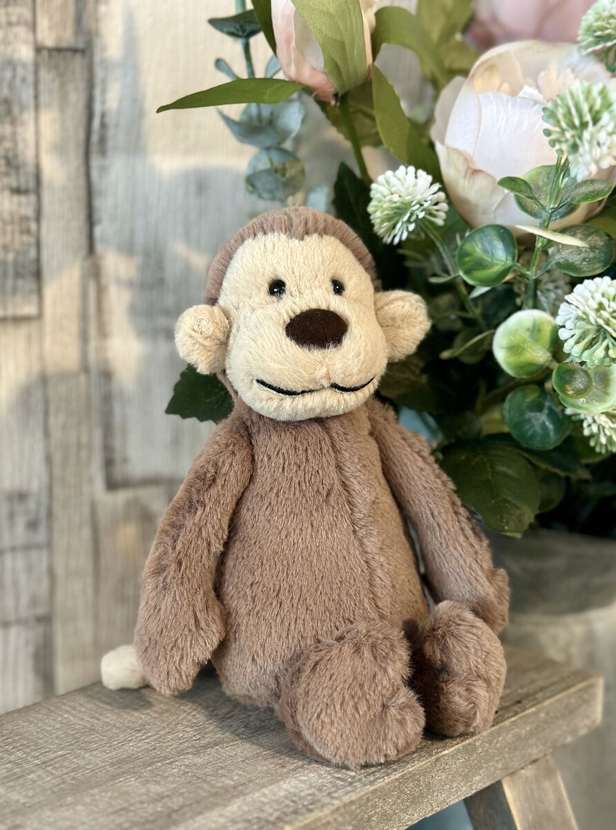 Small Bashful Monkey