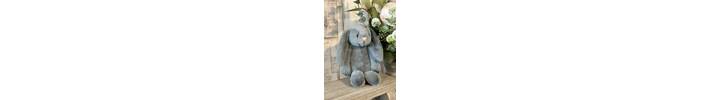 Small Bashful Dusky Blue Bunny