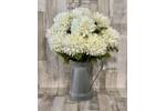 Cream Short Stem Pom Pom Flower Stem