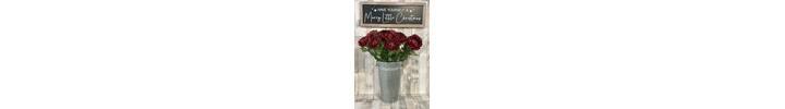 Deep Red Single Chrysanthemum Stem