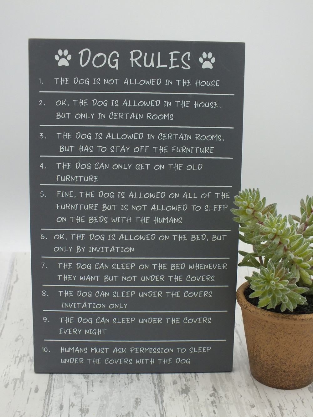 Dog Rules plaque | Shop | So Sophie