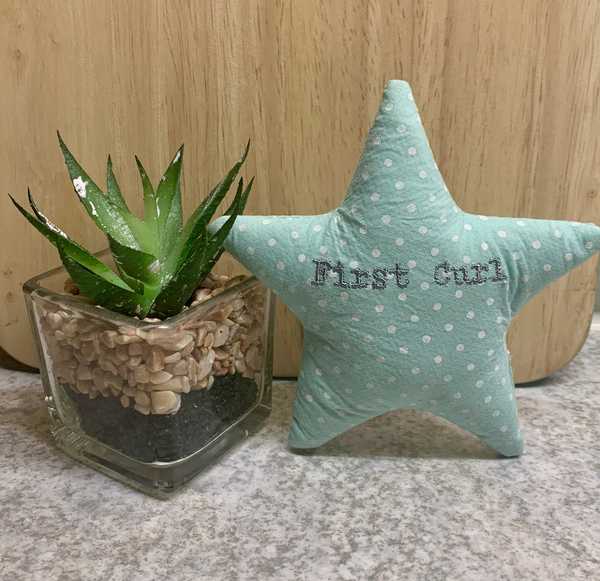 Gisela Graham fabric Star - First Curl