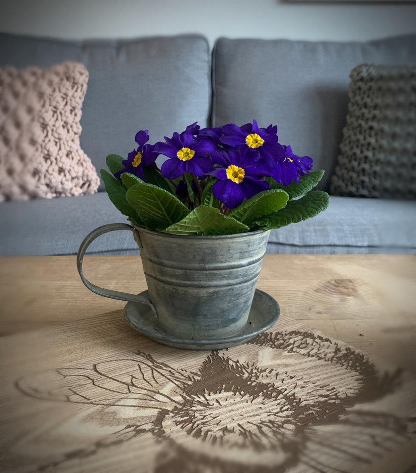 Metal Tea Cup Planter Medium Shop So Sophie