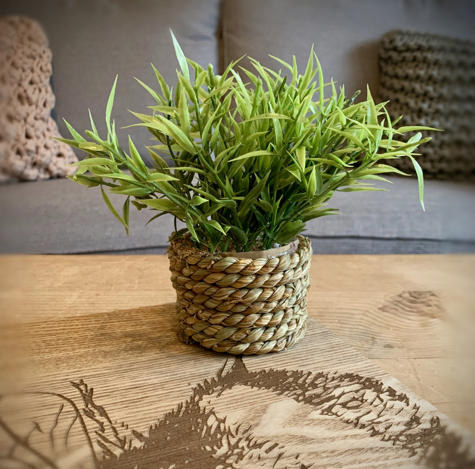 Faux House Plant In Grass Pot Shop So Sophie