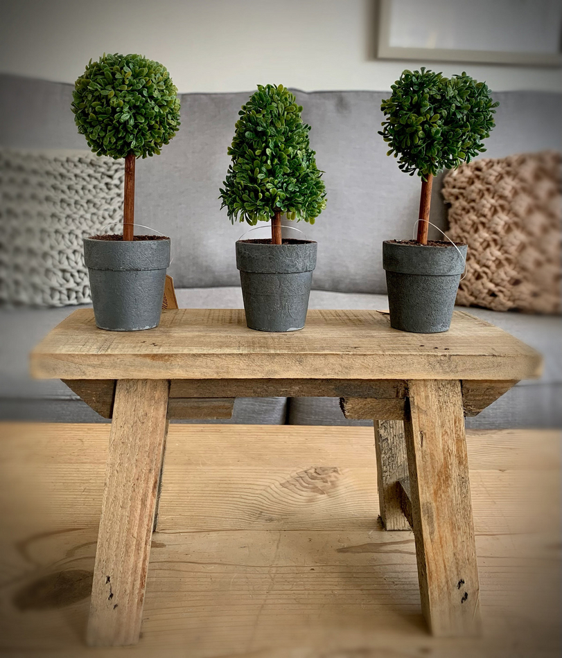 Mini Topiary Tree Shop So Sophie